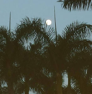 Meet your Posher, Annica